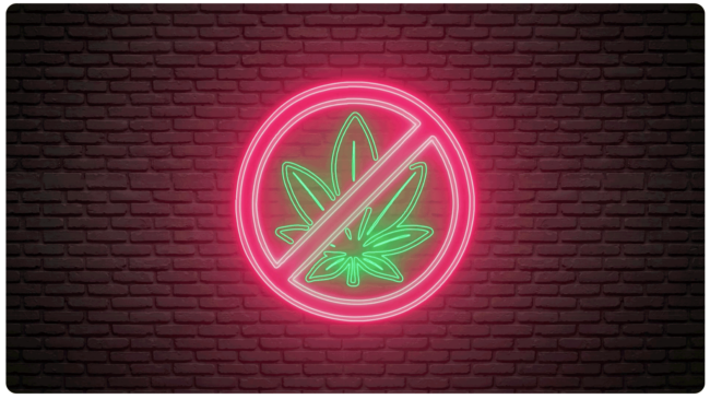 substancias-psicoativas